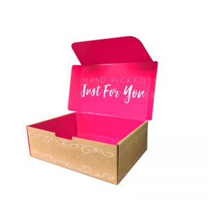 Plain Folding Carton Mailer Boxes