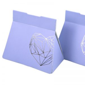 Paper Bag Shaped Apparel Boxes