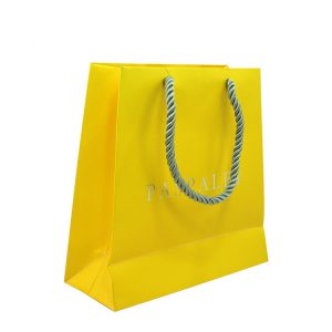 Trapezoid-Shaped Paper Bags For Clothes