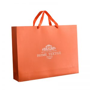 Large Gift Present Paper Bags