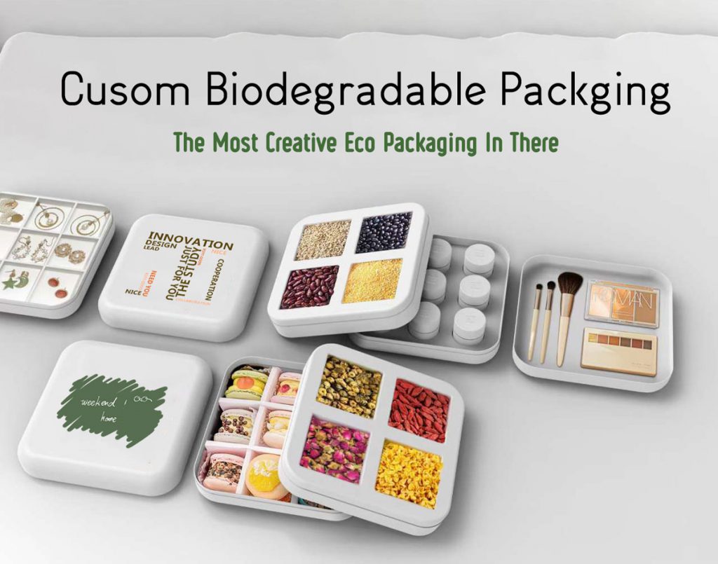 Custom 100 Sugar Cane Packaging Cheap Eco Frinedly Box KALI