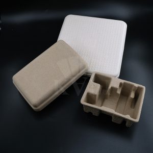 Custom Eco-Friendly Sugarcane Bagasse Molded Pulp Boxes