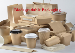 New Environmentally Friendly Packaging Has Become The First Choice