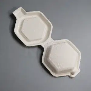 Custom Round Sugarcane Bagasse Molded Packaging