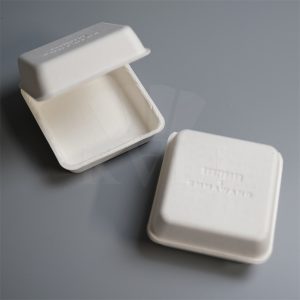 Custom Eco Square Sugarcane Flip Packaging Box