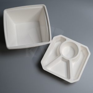 Bio Bagasse Disposable Bento Box With Lid