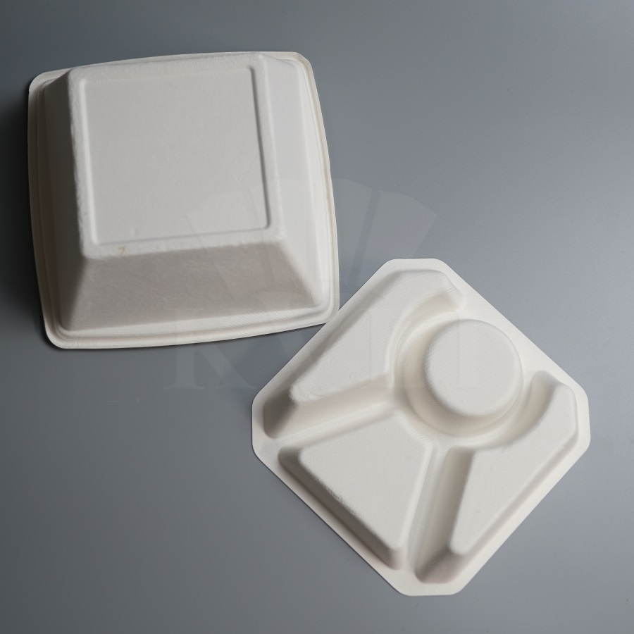Bio Bagasse Disposable Bento Box With Lid