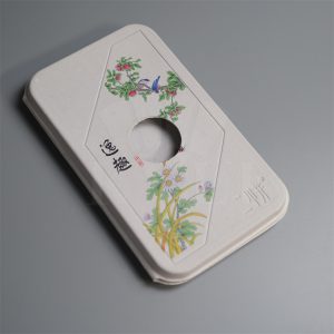 Sugarcane Fibers Shell Phone Cases Packaging
