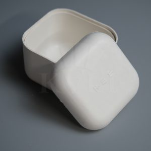 Large Biodegradable Lid & Bottom Packaging