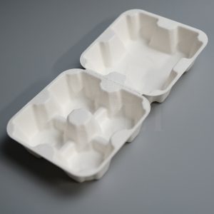 Pulp Bagasse 4 Eggs Box Packaging