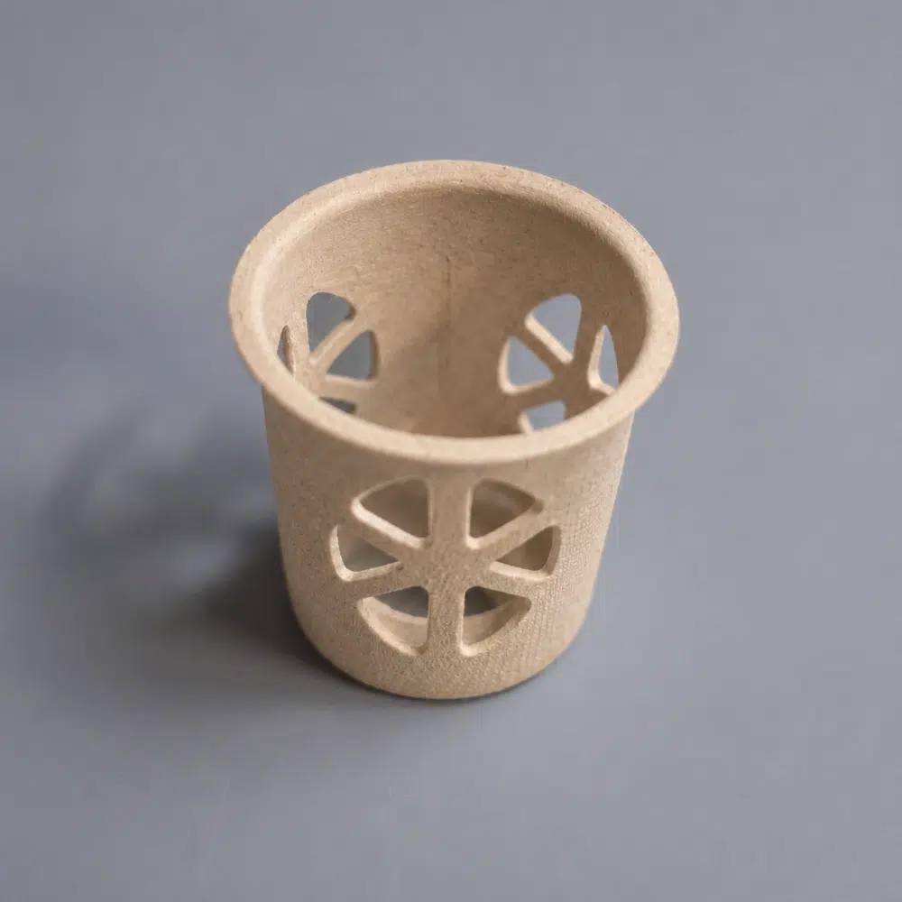 Custom Bagasse Paper Cup Packaging