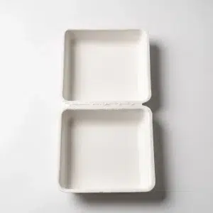 Custom Eco Square Sugarcane Flip Packaging Box