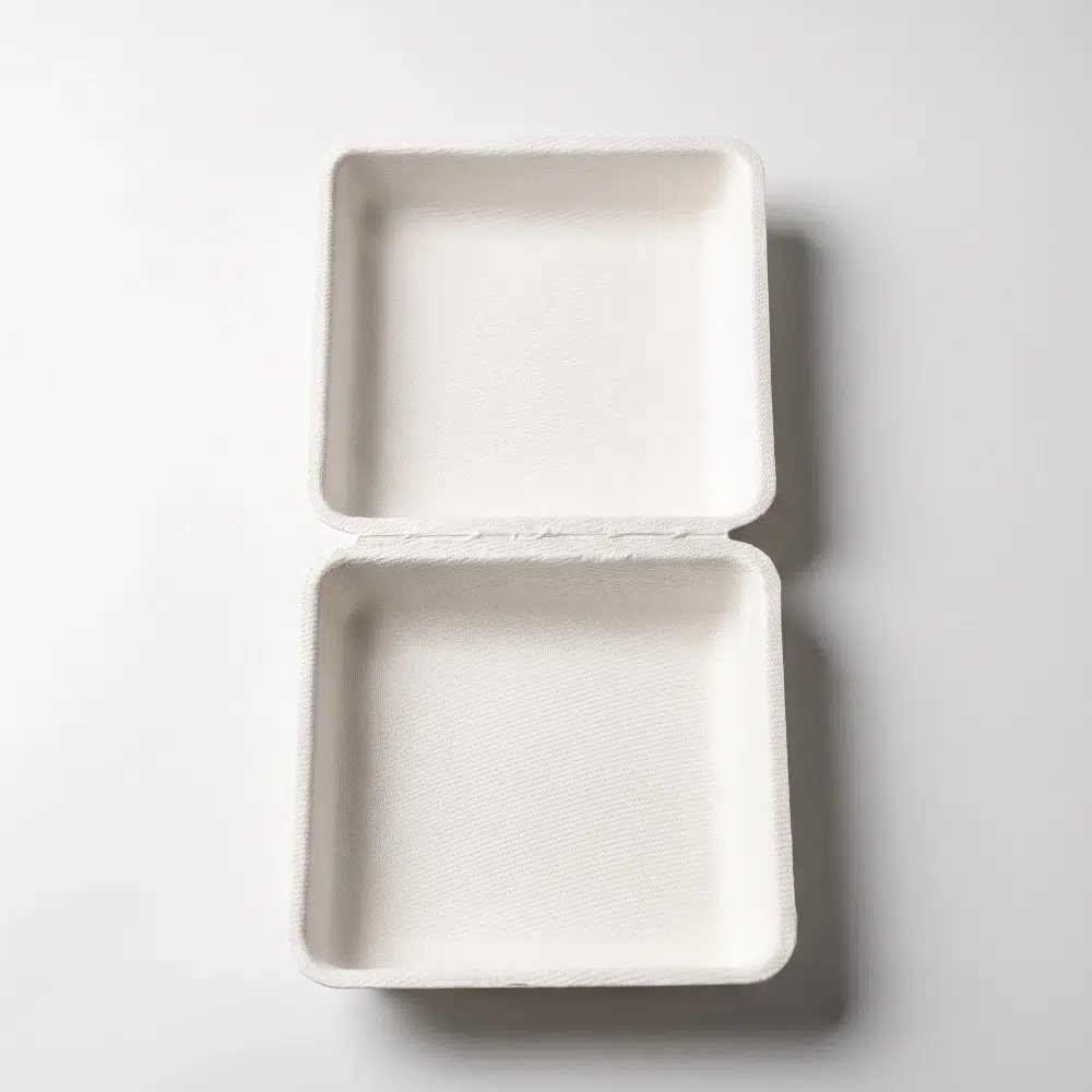 Custom Eco Square Sugarcane Flip Packaging Box