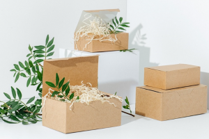 Eco Packaging: A Sustainable Solution for the Future of Packaging