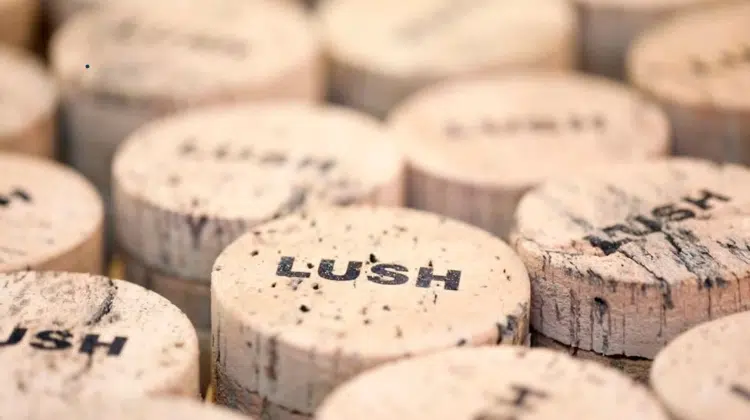 Sustainable Materials